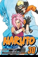 Naruto, Vol. 30 cena un informācija | Fantāzija, fantastikas grāmatas | 220.lv