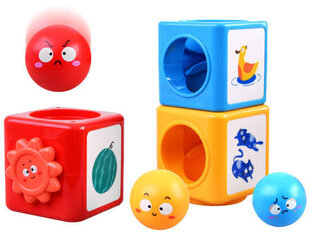 Šķirošanas Tornis ar bumbiņām Hola cena un informācija | Rotaļlietas zīdaiņiem | 220.lv