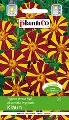 Бархатцы высокие Klaun, 1 г цена и информация | Семена цветов | 220.lv