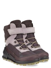 ECCO Biom K2 Gtx (30-35) Shale Duck 573038628 cena un informācija | Bērnu zābaki | 220.lv