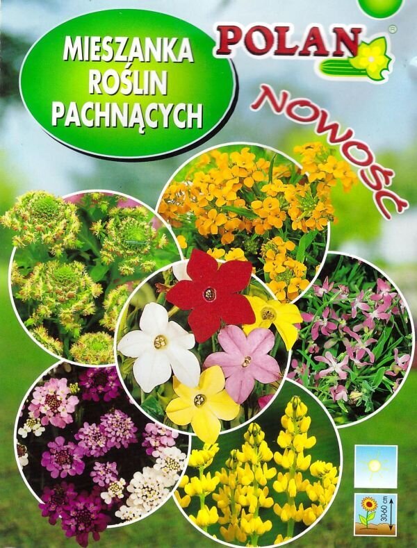 Aromātisko ziedu maisījums Polan цена и информация | Puķu sēklas | 220.lv