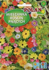 Vīteņaugu sēklu maisījums Polan cena un informācija | Puķu sēklas | 220.lv