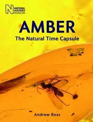 Amber: The Natural Time Capsule Revised edition цена и информация | Книги о питании и здоровом образе жизни | 220.lv