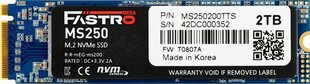 Megafastro MS250 (MS250200TTS) cena un informācija | Iekšējie cietie diski (HDD, SSD, Hybrid) | 220.lv