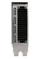PNY Nvidia RTX 5000 Ada (VCNRTX5000ADA-PB) цена и информация | Videokartes (GPU) | 220.lv