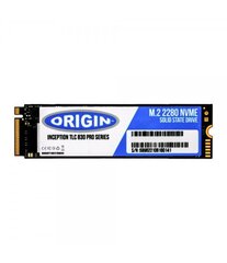 Origin Storage NB-1TB3DM.2/NVME цена и информация | Внутренние жёсткие диски (HDD, SSD, Hybrid) | 220.lv