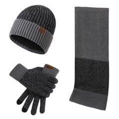 Зимний комплект (перчатки, шарф, шапка), серый M12112101-2 цена и информация | Мужские шарфы, шапки, перчатки | 220.lv