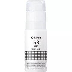 Canon GI-53 BK цена и информация | Картриджи для струйных принтеров | 220.lv