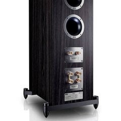 Напольные колонки Heco Aurora 900 AM Ebony black цена и информация | Домашняя акустика и системы «Саундбар» («Soundbar“) | 220.lv