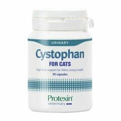 Дополнительный корм для кошек Protexin Cystophan, 30 таблеток цена и информация | Витамины, пищевые добавки для кошек | 220.lv