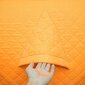 Makšķerēšanas telts whitedream2021, oranža цена и информация | Teltis | 220.lv