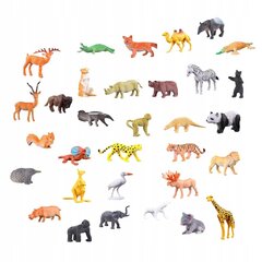 Adventes kalendārs Matchbox Zoodārza dzīvnieku figūriņas KA7 cena un informācija | Rotaļlietas zēniem | 220.lv
