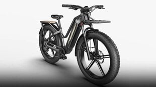 Электровелосипед FIIDO TITAN, 26", серый, 750Вт, 14,5Ач цена и информация | Электровелосипеды | 220.lv