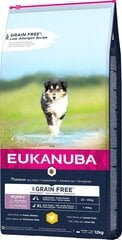 Eukanuba Puppy Grain Free L для щенков крупных пород, 12 кг цена и информация | Сухой корм для собак | 220.lv