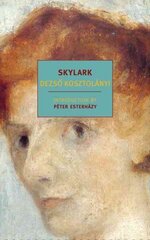Skylark Main cena un informācija | Fantāzija, fantastikas grāmatas | 220.lv
