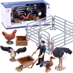 Figūriņu komplekts Putnu ferma Lean Toys, 6 gab. cena un informācija | Rotaļlietas zēniem | 220.lv