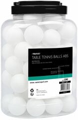 Table tennis balls AVENTO 46TR 60pcs white цена и информация | Мячи для настольного тенниса | 220.lv