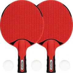 Table tennis bat set AVENTO outdoor 46TZ цена и информация | Ракетки для настольного тенниса, чехлы и наборы | 220.lv