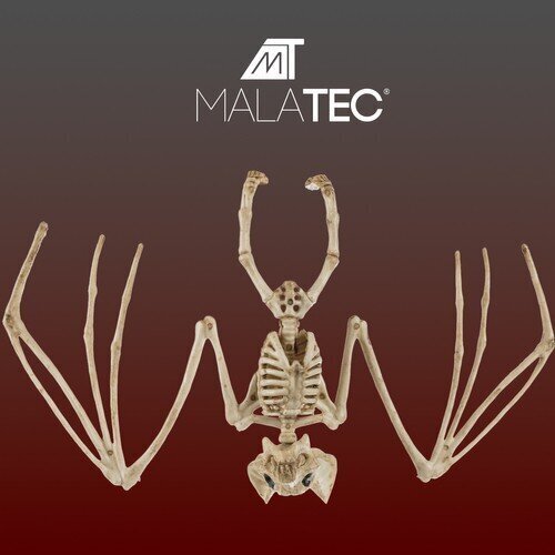 Sikspārņa skelets, 30 cm cena un informācija | Svētku dekorācijas | 220.lv