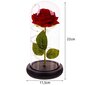 Stabilizēta roze mirdzoša roze glāzē cena un informācija | Stabilizētās rozes, augi | 220.lv