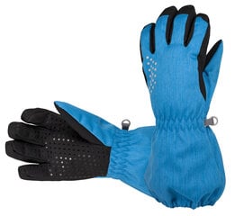 Зимние перчатки (полностью водонепроницаемые) Hofler  цена и информация | Зимняя одежда для детей | 220.lv