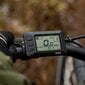 Swoop Elektriskais kalnu velosipēds MTB, 26" цена и информация | Elektrovelosipēdi | 220.lv