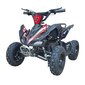 Swoop Elektriskais ATV Adventurer 1000W цена и информация | Bērnu elektroauto | 220.lv