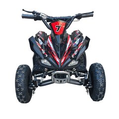 Swoop Elektriskais ATV Adventurer 1000W цена и информация | Электромобили для детей | 220.lv