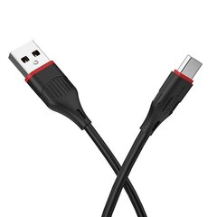 Borofone Cable BX80 Succeed - USB to Type C - 3A 1 metre white цена и информация | Кабели и провода | 220.lv