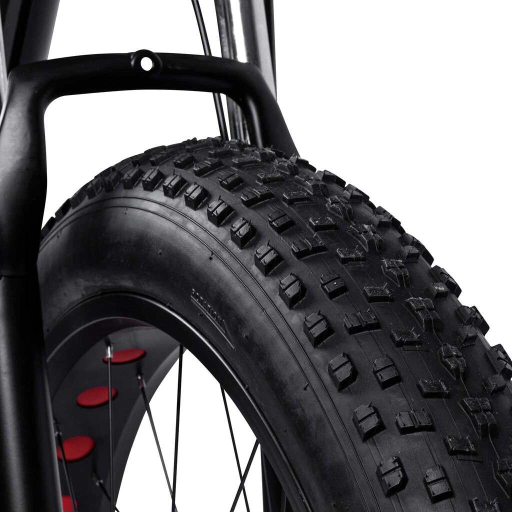 Swoop Fatbike 26" velosipēds цена и информация | Velosipēdi | 220.lv