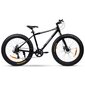 Swoop Fatbike 26" Tūrista velosipēds cena un informācija | Velosipēdi | 220.lv