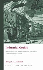 Industrial Gothic: Workers, Exploitation and Urbanization in Transatlantic Nineteenth-Century Literature cena un informācija | Vēstures grāmatas | 220.lv