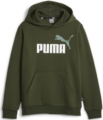 Puma Джемпер Ess + 2 Col Big Logo Green 586987 31 586987 31/128 цена и информация | Свитеры, жилетки, пиджаки для мальчиков | 220.lv