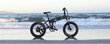 Elektriskais velosipēds Fiido M21, melns cena un informācija | Elektrovelosipēdi | 220.lv