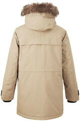 Didriksons Originals мужская зимняя парка REIDAR, бежевый M 907144632 цена и информация | Мужские куртки | 220.lv