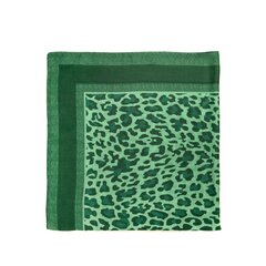 Art of Polo Šalle sievietēm zaļa sz22289-2 cena un informācija | Sieviešu šalles, lakati | 220.lv