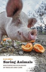 Saving Animals: Multispecies Ecologies of Rescue and Care цена и информация | Книги по социальным наукам | 220.lv