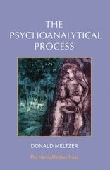 Psychoanalytical Process цена и информация | Книги по социальным наукам | 220.lv