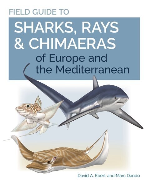 Field Guide to Sharks, Rays & Chimaeras of Europe and the Mediterranean cena un informācija | Ekonomikas grāmatas | 220.lv