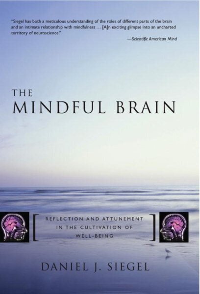 Mindful Brain: Reflection and Attunement in the Cultivation of Well-Being cena un informācija | Pašpalīdzības grāmatas | 220.lv