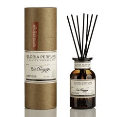 Mājas smarža ar nūjiņām Gloria Perfume Champagne, 150ml cena un informācija | Mājas aromāti | 220.lv