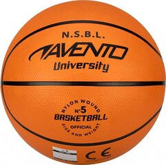 Basketball ball AVENTO JUNIOR SQUAD 47BA 5d цена и информация | Баскетбольные мячи | 220.lv