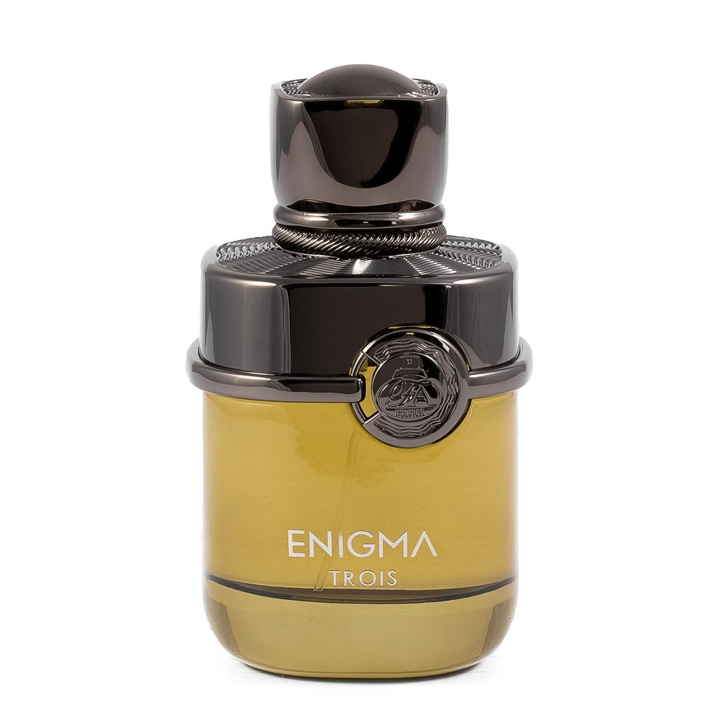 Parfimērijas ūdens Fragrance World Enigma Trois EDP sievietēm/vīriešiem, 100 ml cena un informācija | Sieviešu smaržas | 220.lv