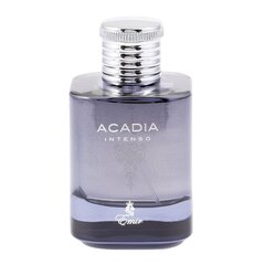 Parfimērijas ūdens Emir Acadia Intenso EDP vīriešiem, 100 ml cena un informācija | Vīriešu smaržas | 220.lv