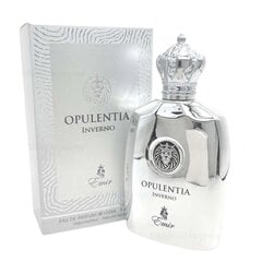 Parfimērijas ūdens Emir Opulentia Inverno EDP vīriešiem, 100 ml цена и информация | Мужские духи | 220.lv