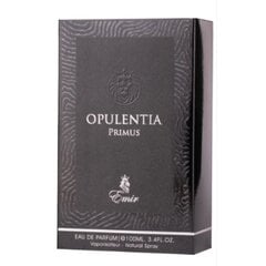 Parfimērijas ūdens Emir Opulentia Primus EDP vīriešiem, 100 ml цена и информация | Мужские духи | 220.lv