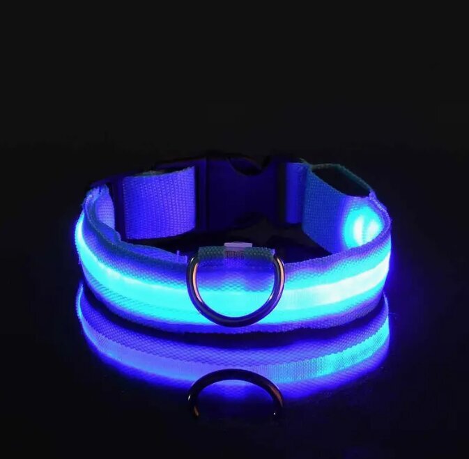 Tumsā mirdzoša LED kaklasiksna maziem un vidējiem suņiem, zila cena un informācija | Apkakles, siksnas suņiem | 220.lv