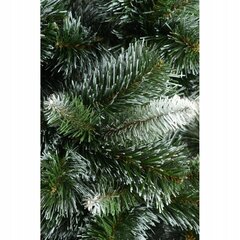 Искусственная Рождественская елка, 220 см цена и информация | Искусственные елки | 220.lv