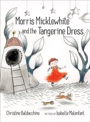 Morris Micklewhite and the Tangerine Dress цена и информация | Книги для подростков  | 220.lv