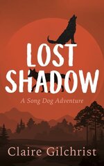 Lost Shadow цена и информация | Книги для подростков  | 220.lv